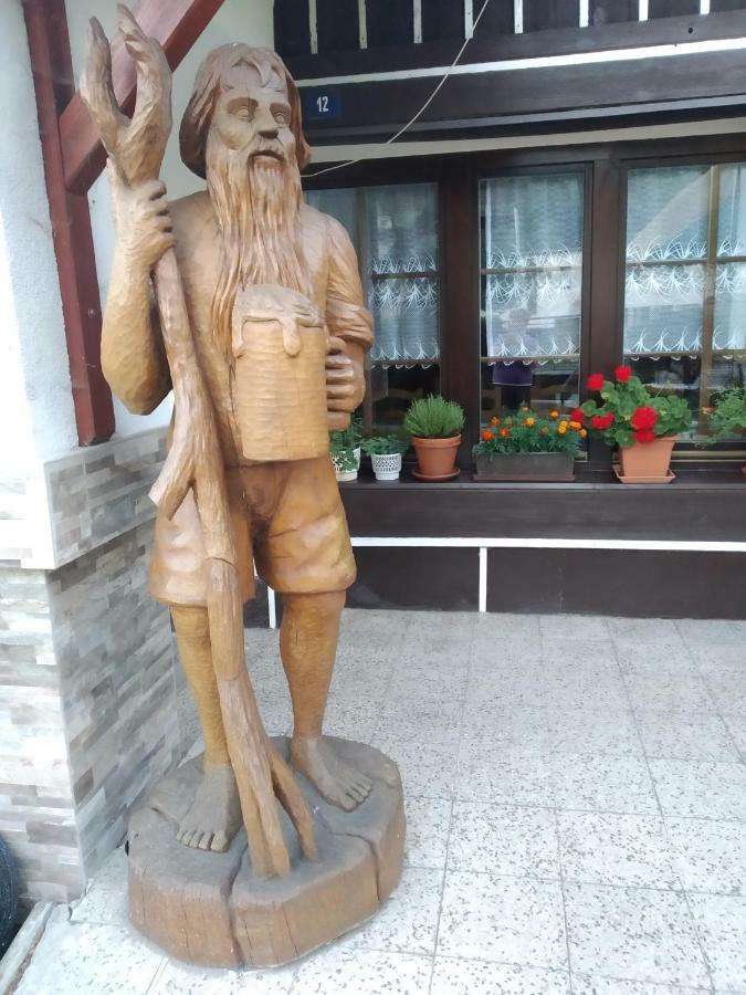 Ubytování Riegel Svoboda nad Úpou Exterior foto
